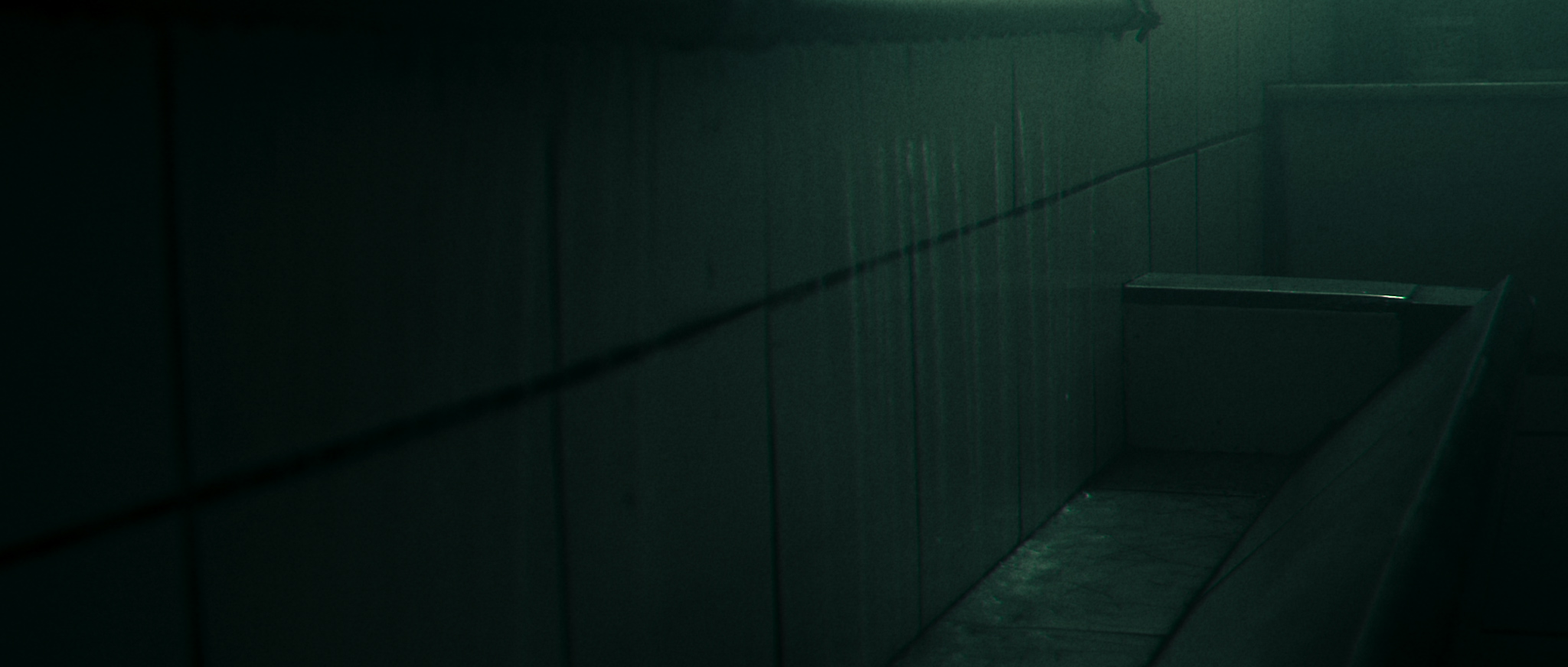 PETBRICK — "Coming" — 3