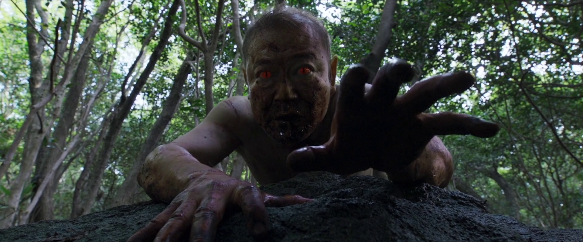 Shaman's Eyes — 13